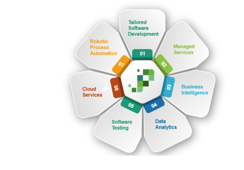 Custom software development offerings